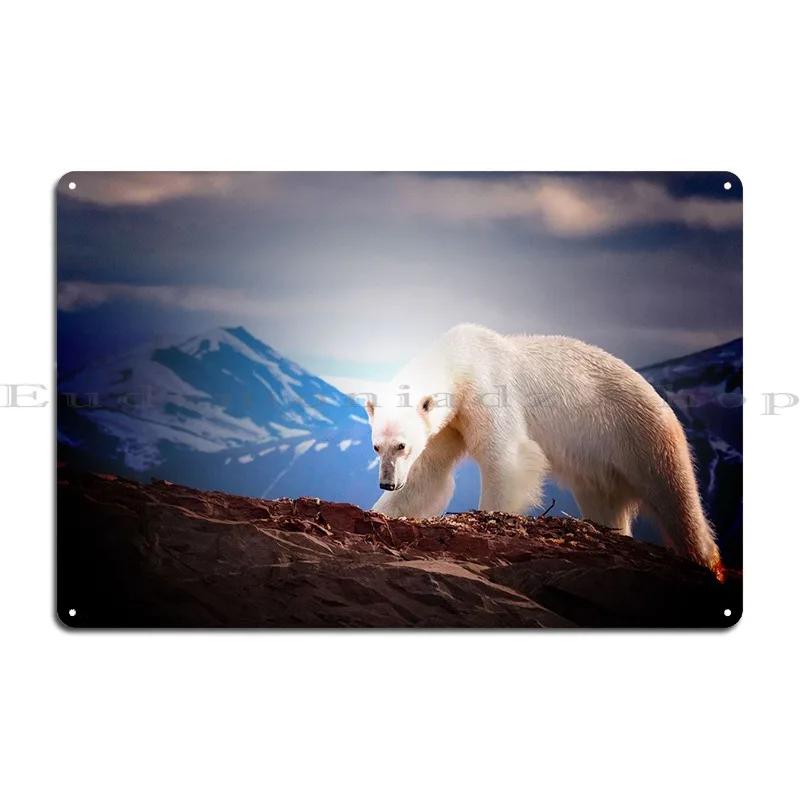 Bär Bären Wildtiere Raubtier Metallschild Poster Wandbild Dekoration Zuhause Gedruckt Club Blechschild Poster