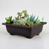 Garden Flower Pots Flowerpot Outdoor Garden Landscape Flowerpot Square Trays Gardening Flower Pot Supplies