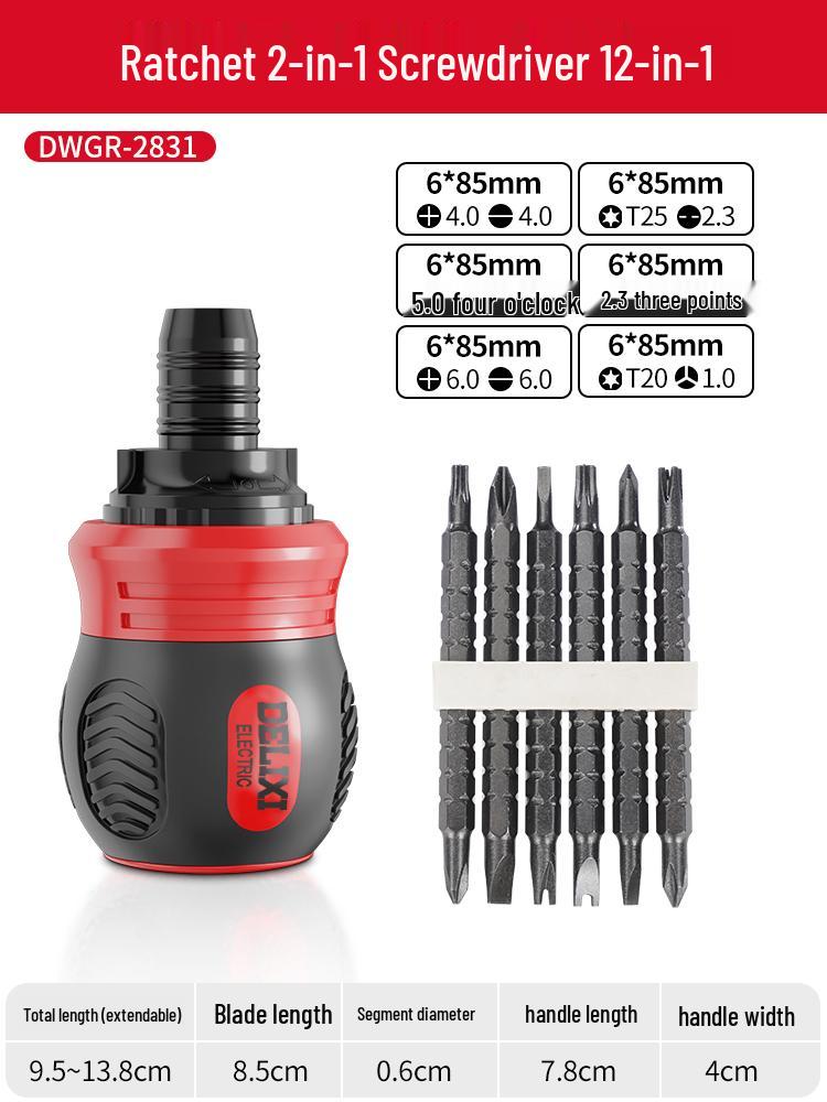 Delixi Double-headed Ratchet Screwdriver Set - Multi-functional Telescopic Torx, Phillips, and Slotted.