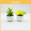Succulent Desert Simulated Plant Artificial Green Plant Desktop Decoration