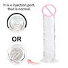 Realistic G-Spot Jelly Dildo Silicone Penis with Suction Cup Butt Plug Anal Toys Sex Toys for Women Female Masturbation Pussy