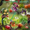 40Pcs Tomato Hooks with String Tomato Support Hooks Tomato Holder Hooks Plant Support Clips Prevent Tomatoes Pinching