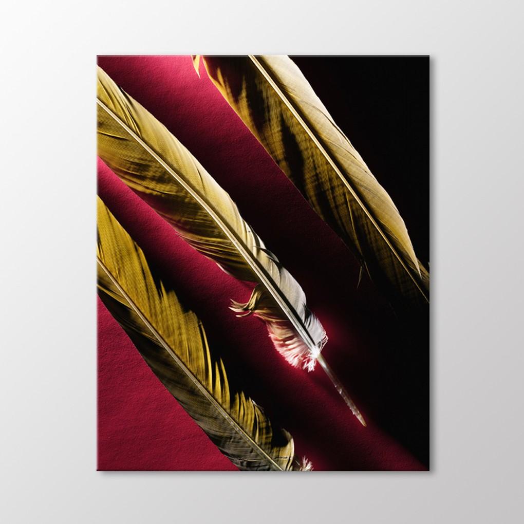 

Живопись Перья Птиц