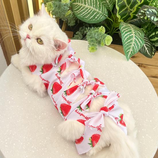 Cat Neutering Suit Fruit Print Recovery Clothing Anti-Lick Jumpsuit After Surgery Adjustable Strap Soft Breathable Postoperative Care Clothes