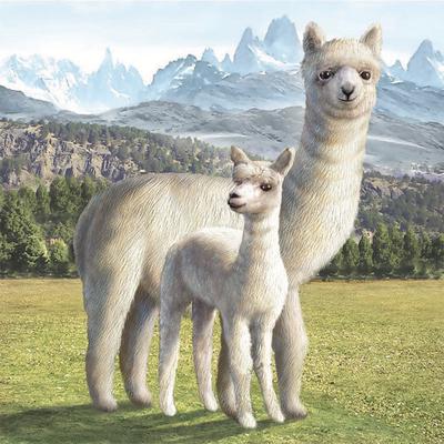 Pittura diamante 5D fai da te carino alpaca diamante ricamo punto croce decorazione della casa artigianato