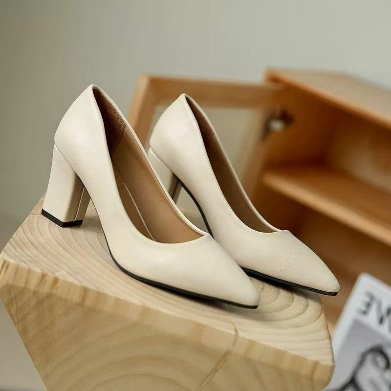 2025 Spring, Summer and Autumn Design Sense Niche with Skirt Not Tired Feet Single Shoes Small Pointed Thick Heel Temperament High Heels