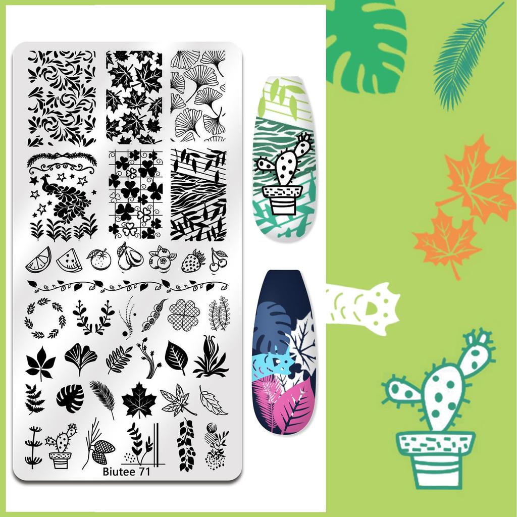 Biutee Nail Image Plate Set Color Gel Nail Stamp Kit 12 Nail Stamp Plates 8ml Nail Stamp Gel Set 1 Stamp 2 Replacement Stamp Heads Nail Design Nail
