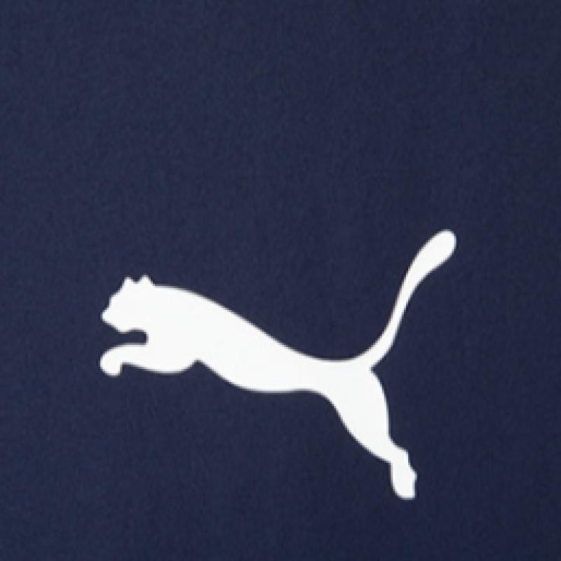 Puma Galleria Puma TeamriSe Training PantS Men S Long PantS SweatShirt