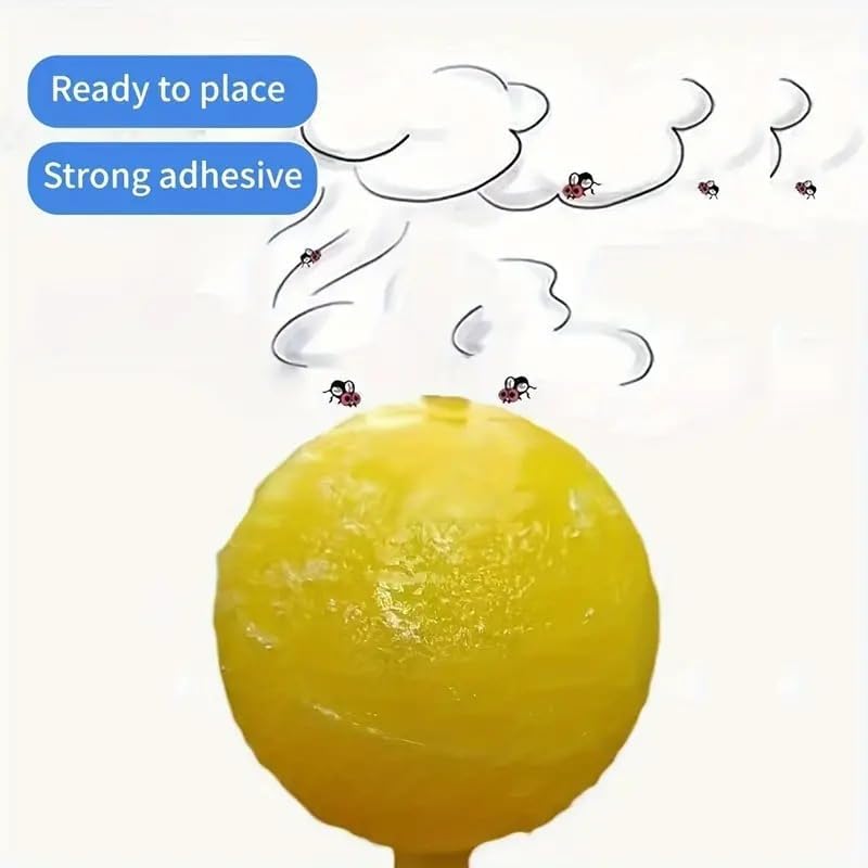 4pieces Sticky Insects Trap Ball Easy To And Clean For Fruit Fly Fruit Fly Hoverfly Fruit Fly Traps