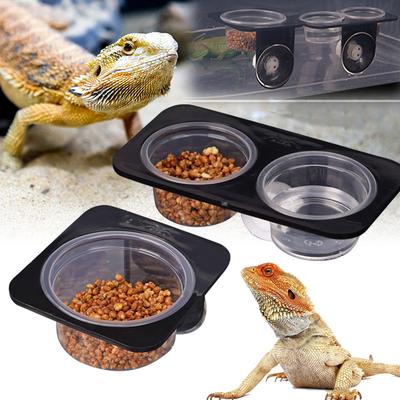 Reptiles – Terrarios de reptiles