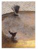 Antique Gold American-Style Bird Feeder & Garden Tray for Studio Photography and Fruit Display