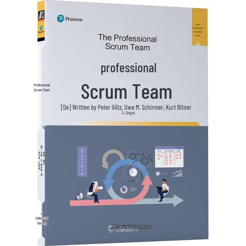 Professional Scrum Team