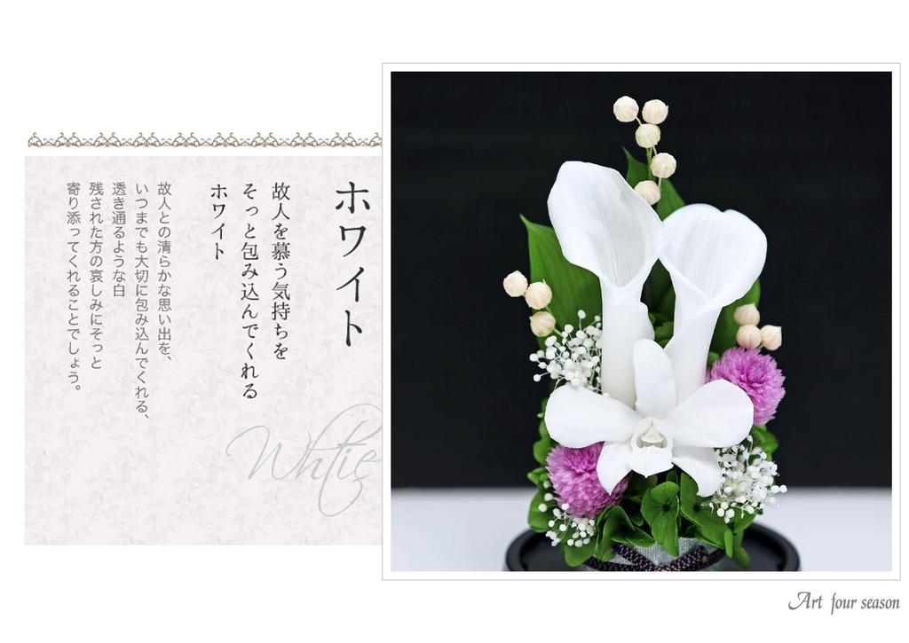 Art Four Seasons Mini Color Mini Dome White Preserved Flowers