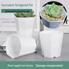 Thickened Octagonal Succulent Flower Pot - Breathable Plastic Seedling Pot for Home & Balcony