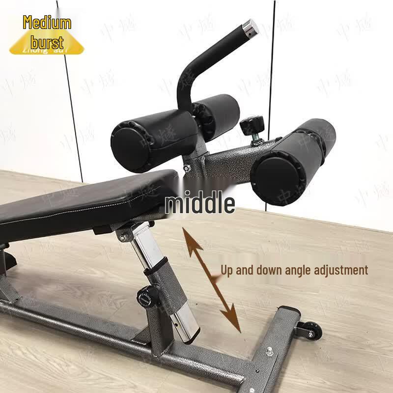 Professional Adjustable Sit-up Bench