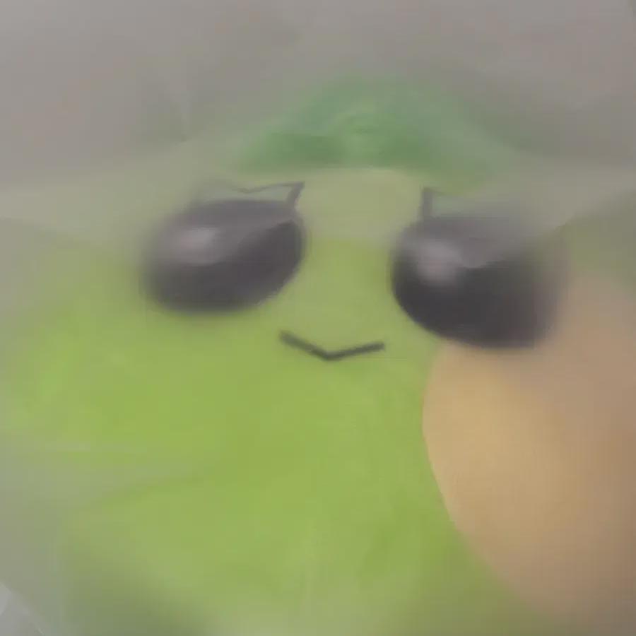 

Boynextdoor Samhan Cushion