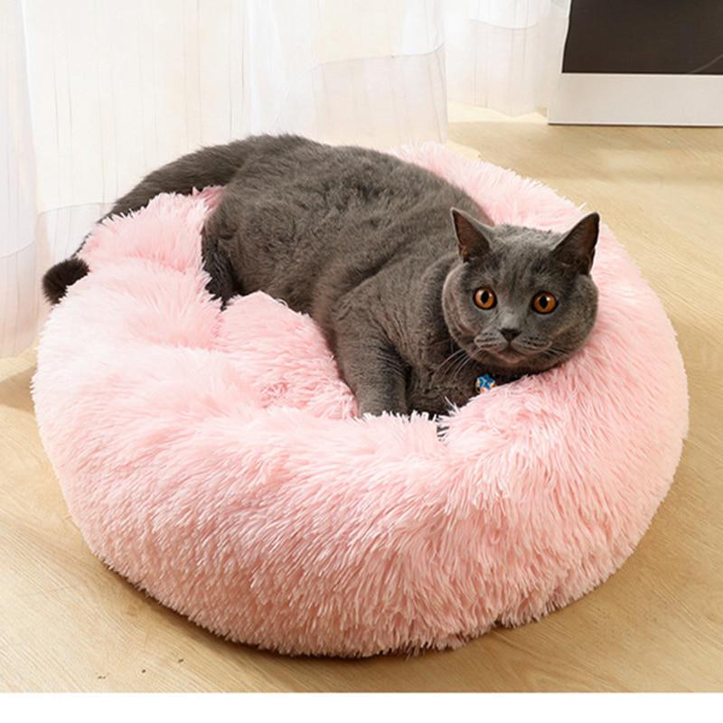 dog plush bed