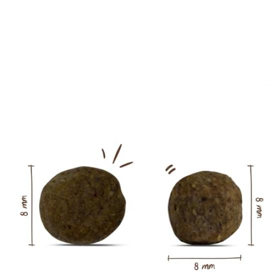 Bosch Mini Complete Nutritional Diet for Senior Dogs Ages Small High 1kg Senior, 7+, Grains, Premium,