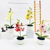 Potted Simulated Phalaenopsis Artificial Artificial Flower Ornament Desktop