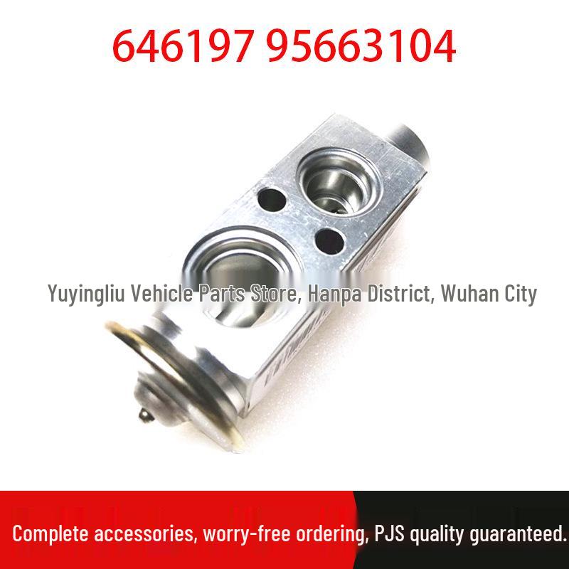 Citroen Fukang Elysée Expansion Valve 646197 95663104 Standard