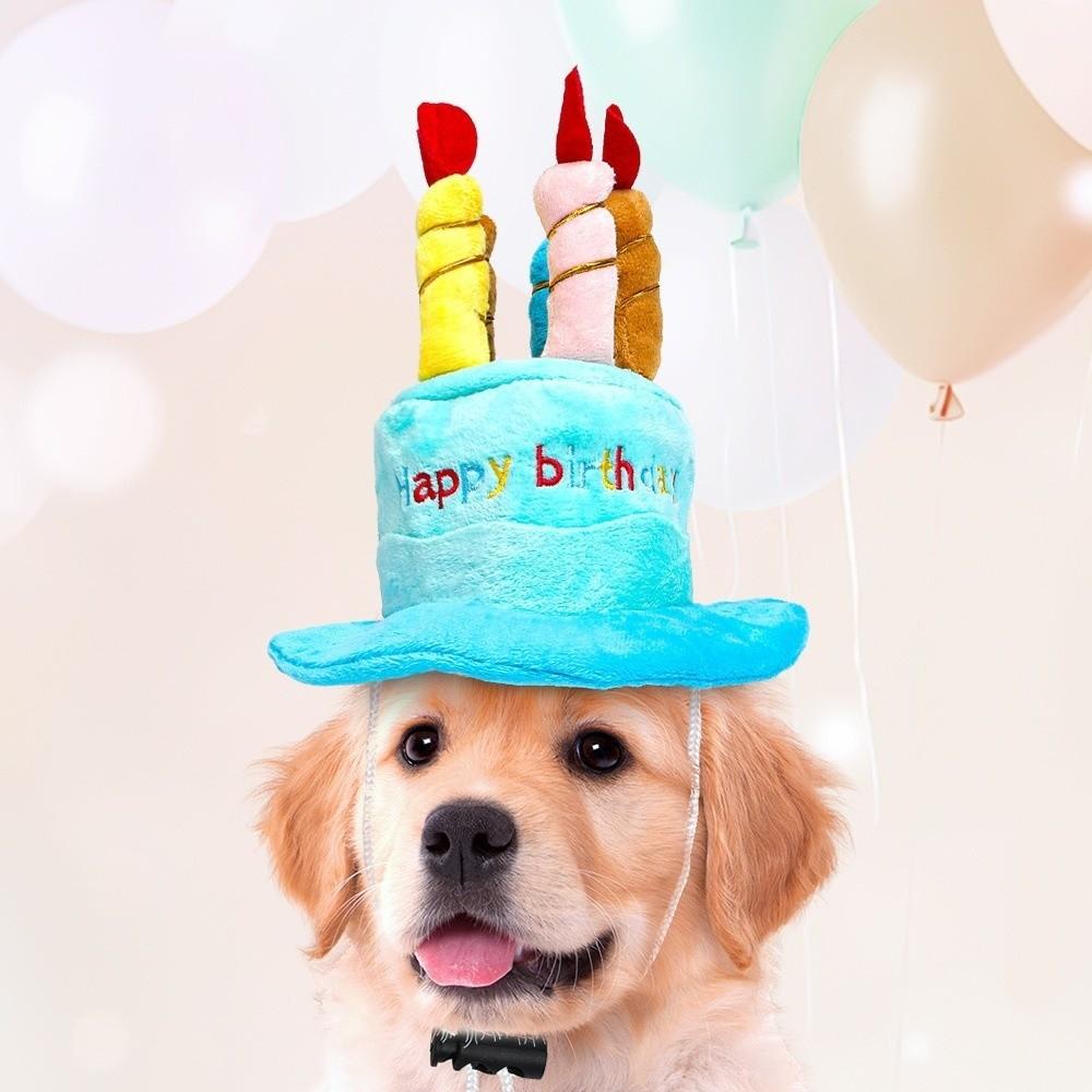 Birthday Theme Birthday Cake Hat Cake Shape Pet Headwear Cap New Puppy Kitten Hat Party Decor