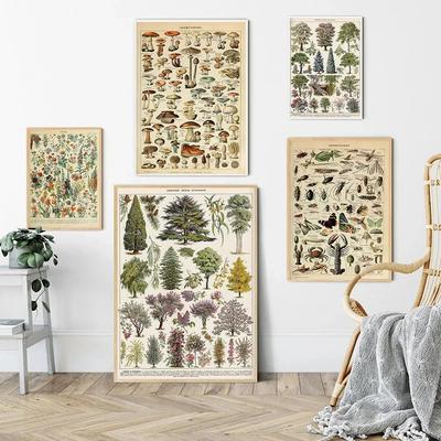Vintage Adolphe Millot Enzyklopädie Poster und Drucke Botanisch Pilze Kräuter Blumen Insekt Leinwandgemälde Wandkunst Dekor