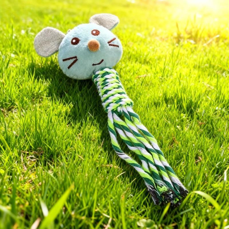 1pc Interactive Tug Rope, Chew Resistant for Puppies & Small Dogs, Durable Cotton, Supports Dental Health, Fun Training