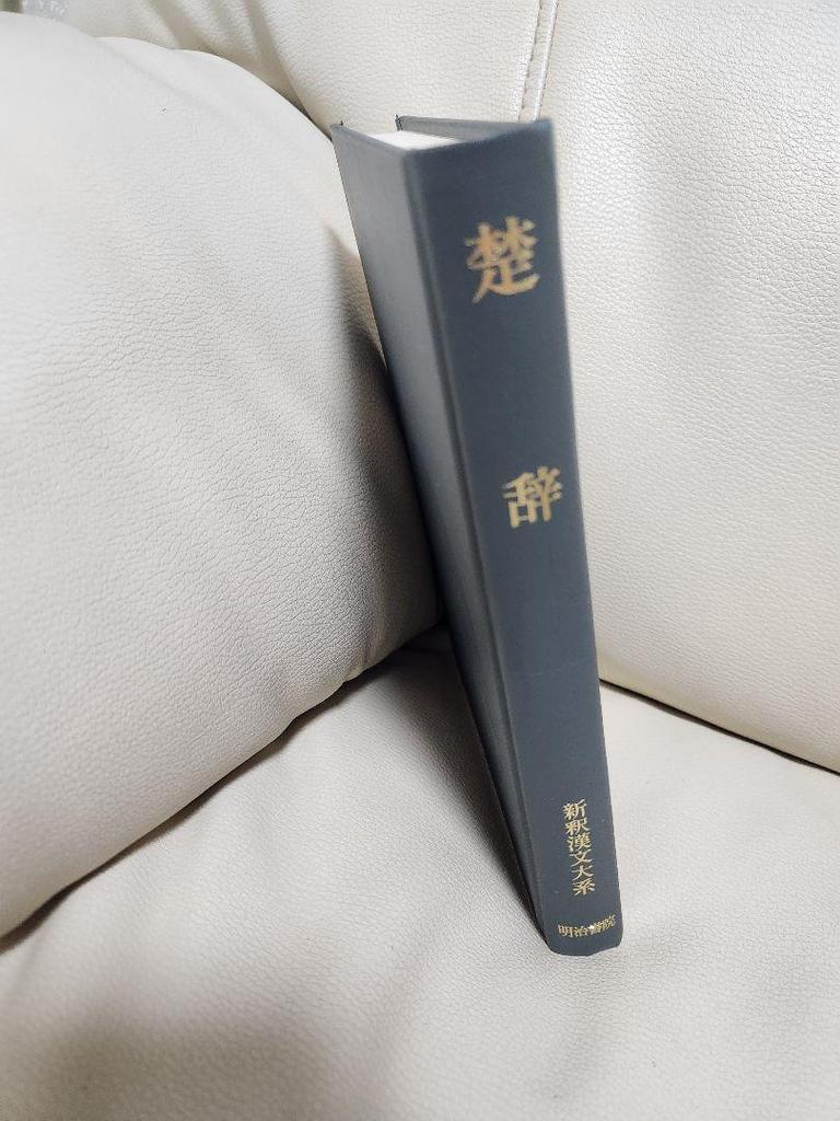 [USED] Chuji New Culture Library 34 Hoshikawa Kiyotaka Meiji Shoin