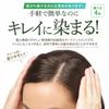 Sastty (Susty) Rishiri Hair Color Treatment (Black) 200g [For Gray Hair] [Includes Color Care Horsehair Brush & Comb]