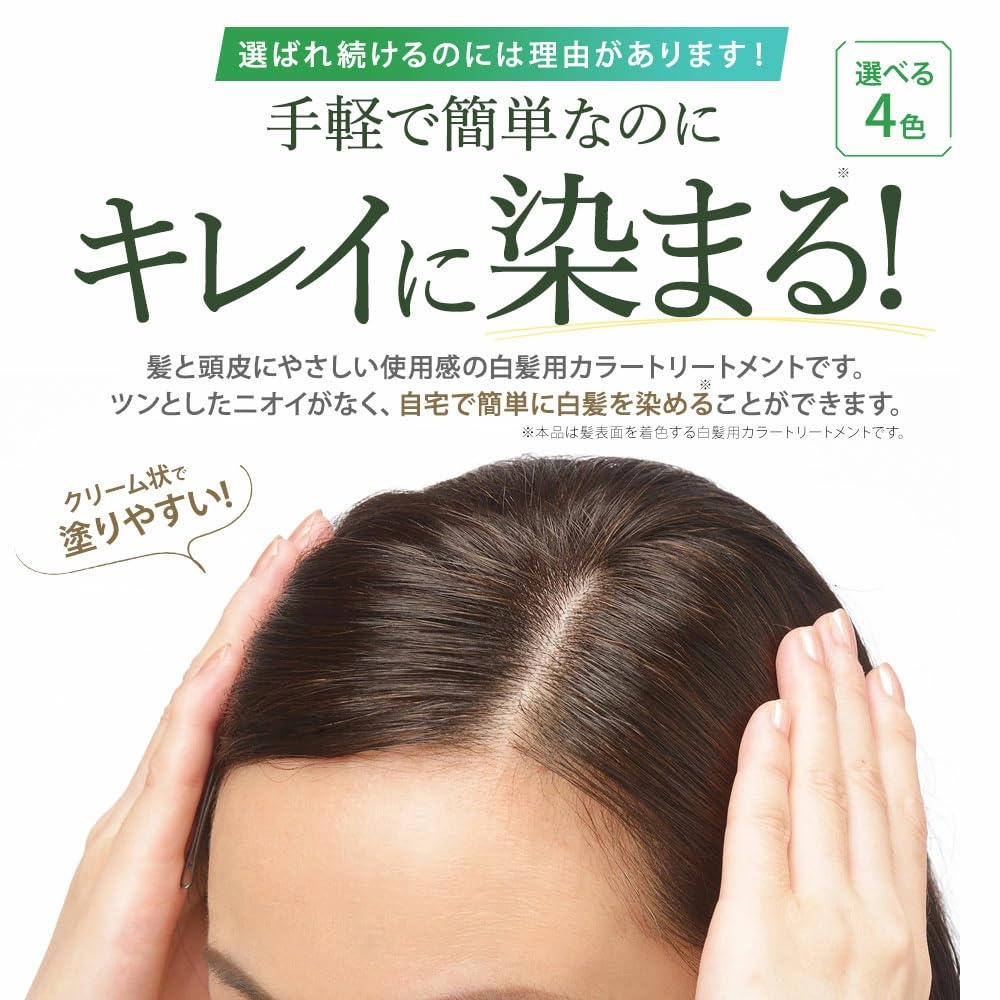 Sastty (Susty) Rishiri Hair Color Treatment (Black) 200g [For Gray Hair] [Includes Color Care Horsehair Brush & Comb]