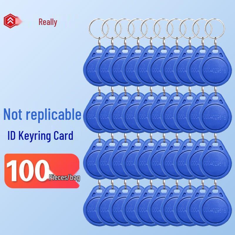 Realand RFID Access Control Key Fobs CN plug (adapter included)