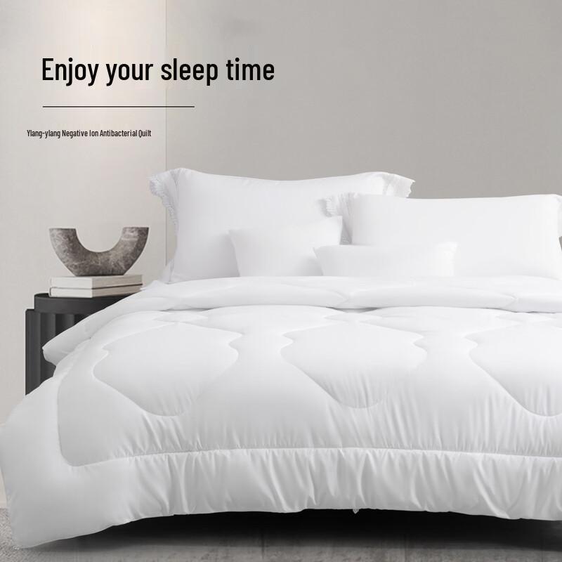 Mercury Home Yilan Negative Ion Antibacterial Quilt