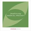 Jealousy by Marcel Proust Paperback Book 9781784872694