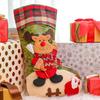 Christmas Stocking Gift Bag