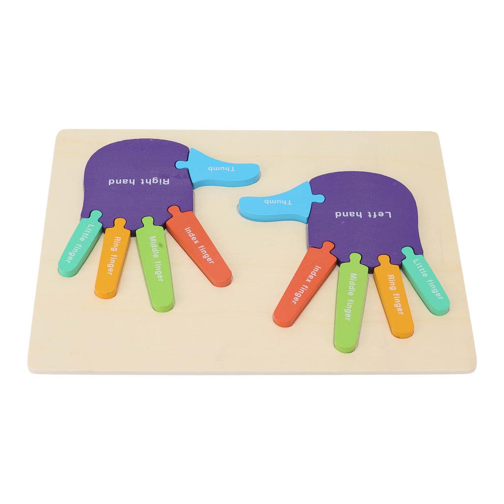 Jigsaw Puzzle Toy Palm Shape Color Cognition Educational  Wooden Puzzle Toys for Toddlers