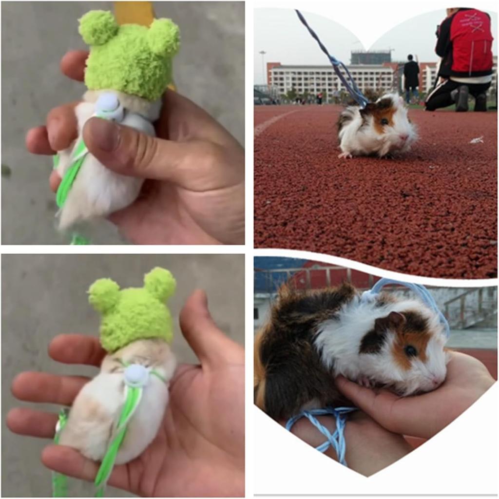 11pcs Hamster Hat, Cute Tiny Mini Hat, Hand Knitted Small Animal Hat and Hand Woven Traction Rope Set for Pets Lizards Hamsters Guinea Pig Holiday