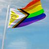 MIDLE Bandiera Progress Pride 91,44x152,4 cm - Striscione Arcobaleno LGBTQ+ Cucito Doppio con Tessuto Liscio, Stampa su Entrambi i Lati, Colori Vivaci per Giardino e Interni