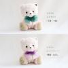 [Petit Lou] Tete Bear White 12cm 4S Size (May Normal)