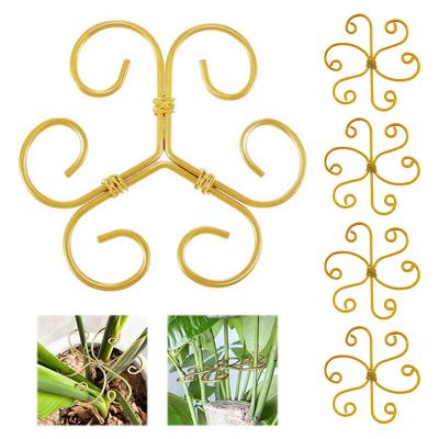 5Pcs Plant Stem Support Reusable Monstera Plant Support Plant Stabilizer for Thriving Growth