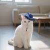 Adjustable Pet Halloween Hat British Style Pet Decorative Hat Cute Cat Cosplay Hat  Pet Show