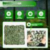Lightweight & Foldable 8x8M Camouflage Net - Woodland Color for Hunting,Survival - Multi-Purpose Use for Cover,Decor,Photography