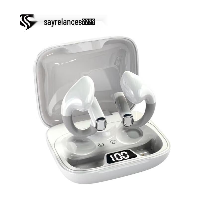 

Searsland SLS-Q2 Sports Noise-Cancelling Bluetooth Earbuds