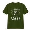 Celebrating  Years Sober Sobriety Anniversary AA Recovery T Shirt  vintage Washed Stretched fashion homme streetwear