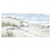 Richard Macneil Driftwood Canvas Print