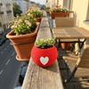Mini 3D Printed Plant Pot Heart Pattern Eco-Friendly Planter Unique Bonsai Pots  Office