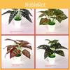 Bicolor Simulated Caladium Artificial Green Plant Potted Indoor Decoration