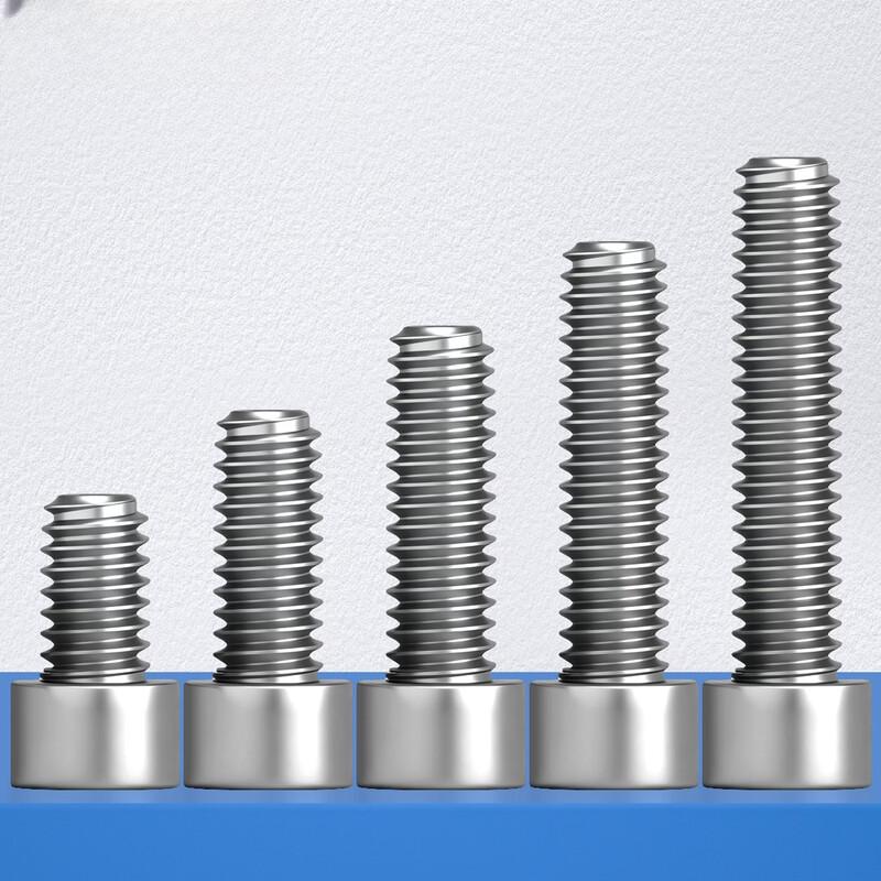 Rongyu M4*16 Hex Socket Vacuum Screw