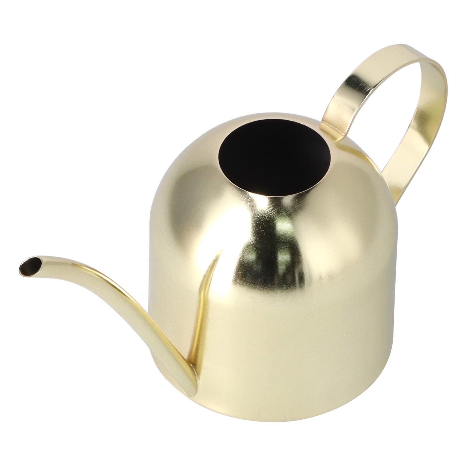 

1000ML Watering Can Indoor Vintage Stainless Steel Succulent Flowers Plants Watering Kettle Pot Gold