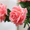 Simulation spring color moisturizing concubine rose, home decoration simulation flower