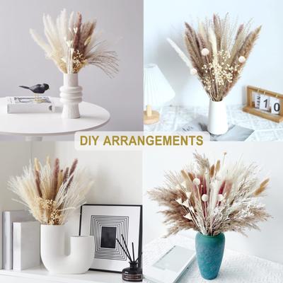 Ramo de plantas secas, 1 manojo de fácil cuidado, crea vitalidad, mano de obra exquisita, práctico ramo de plantas secas, bricolaje, flor bohemia de boda